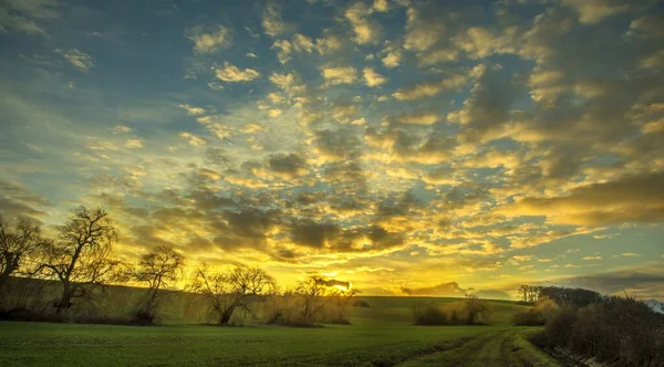 Ritme Santai di Tengah Dinamika Sehari-hari